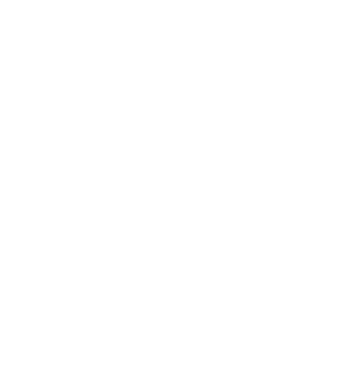 DIRO Logo