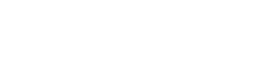 DIRO